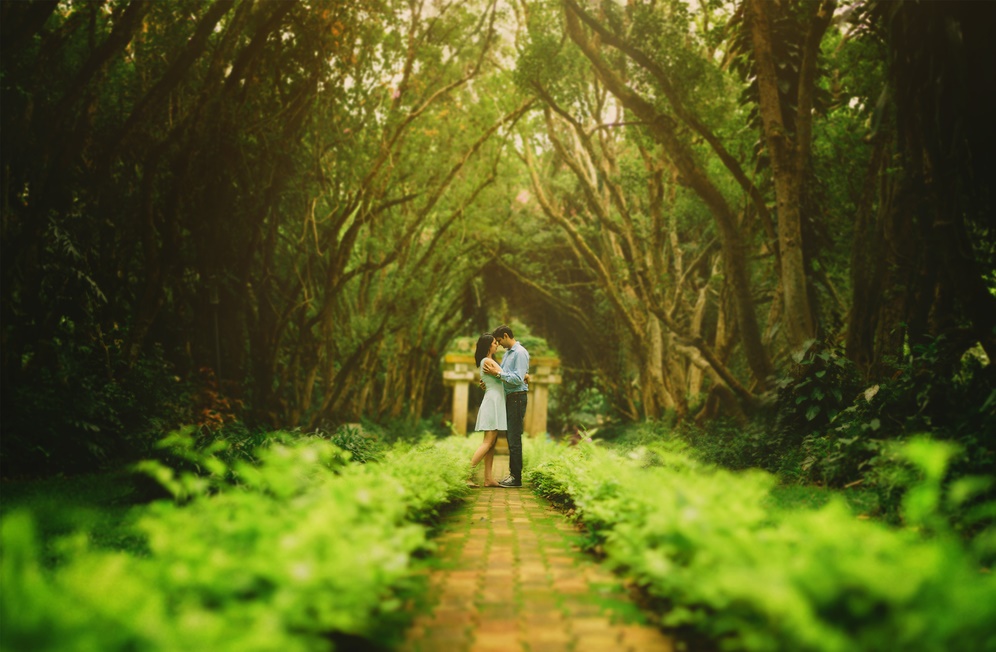 Honeymoon Honeymoon