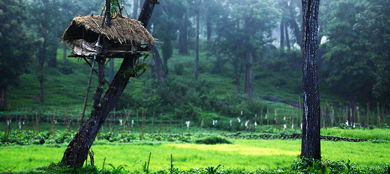 Wayanad